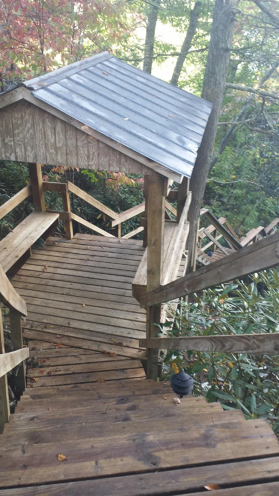 Metal roofed shelter over wooden steps on a wooded walkway — Skylight Repair & Installation work by our crew in Cedar Grove